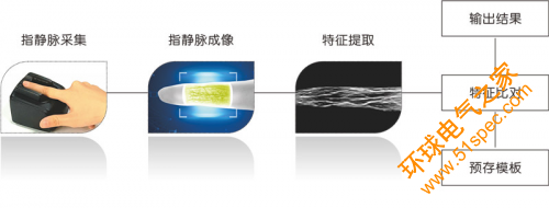 人工智能新科技：深度解析指靜脈識別的源起、應用與發展