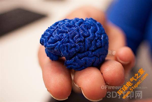 賓州州立大學(xué)教授借助3D打印傳授腦科知識