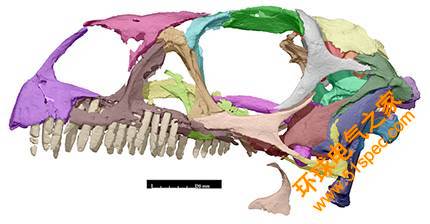 3D扫描和打印正在改变考古研究方式：3D技术解锁恐龙化石的秘密