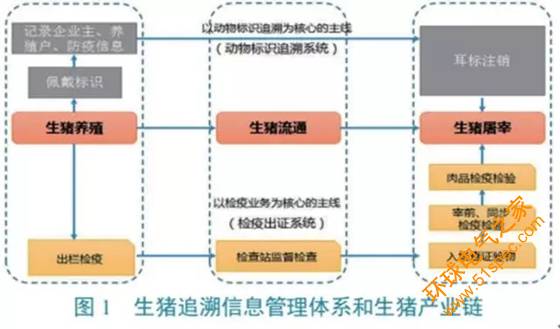 淺談生豬養殖到屠宰全鏈條追溯信息管理體系