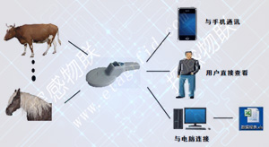 探感物联RFID动物身份识别追踪管理