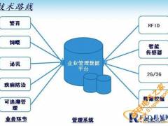 奶牛电子标识与养殖管理信息系统解决方案